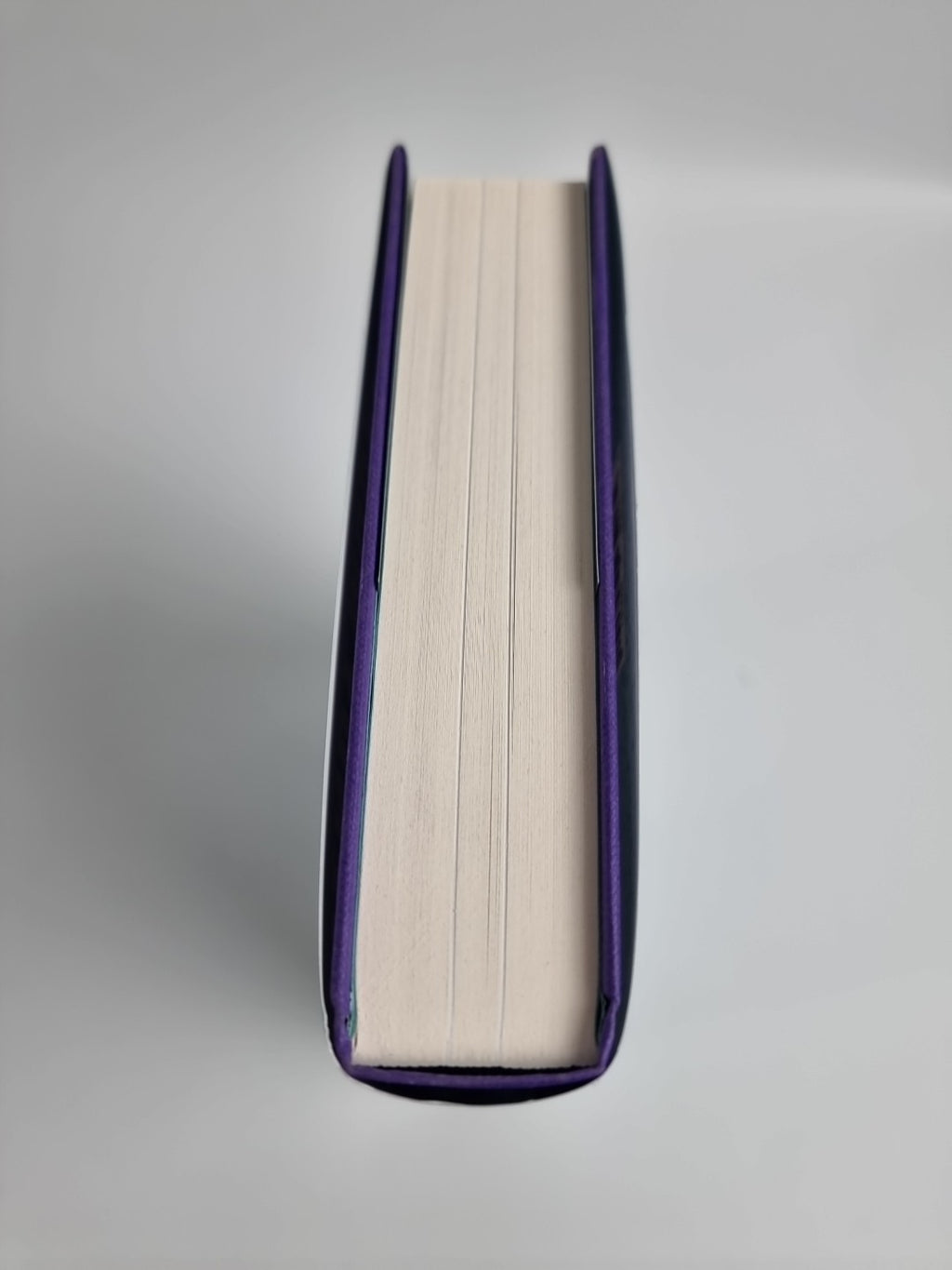 Jack and Eve: Two Women In Love and At War by Wendy Moore 2024 1st Ed NEW
