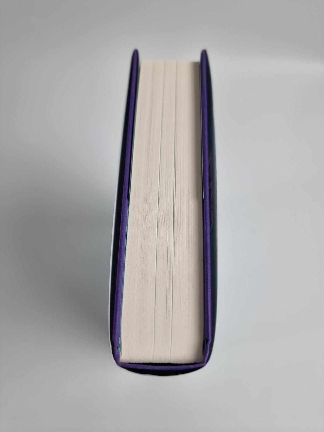 Jack and Eve: Two Women In Love and At War by Wendy Moore 2024 1st Ed NEW