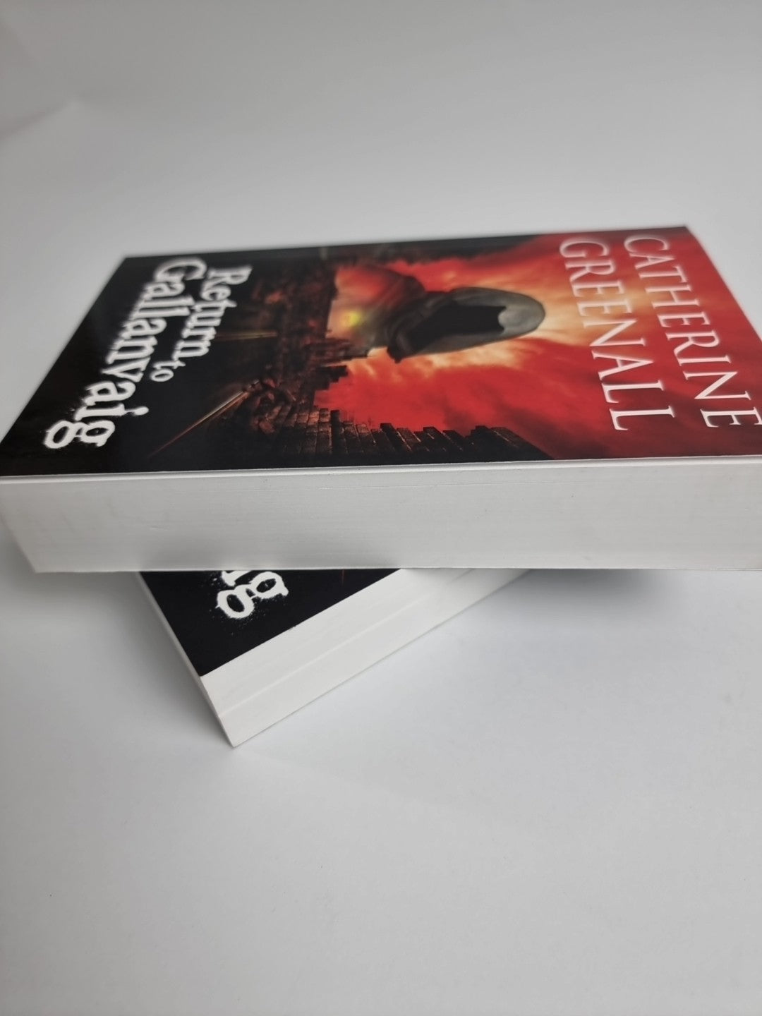 Return to Gallanvaig: By Catherine Greenall - New  SIGNED