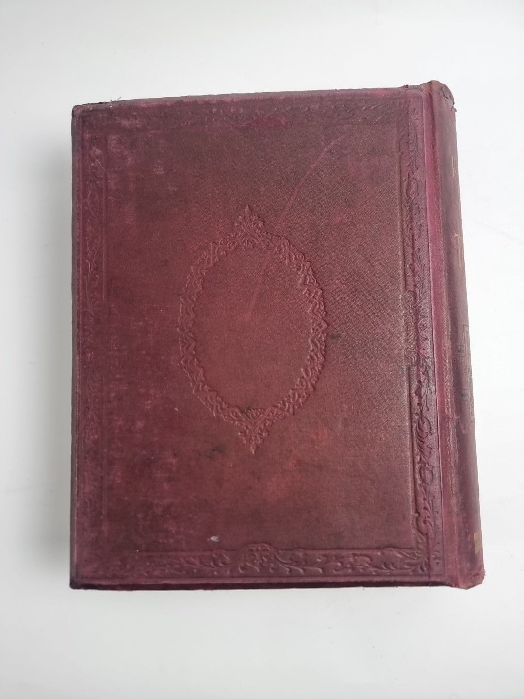 The Illustrated Book of the Dog. SHAW, Vero Kemball 1881 1st Edition