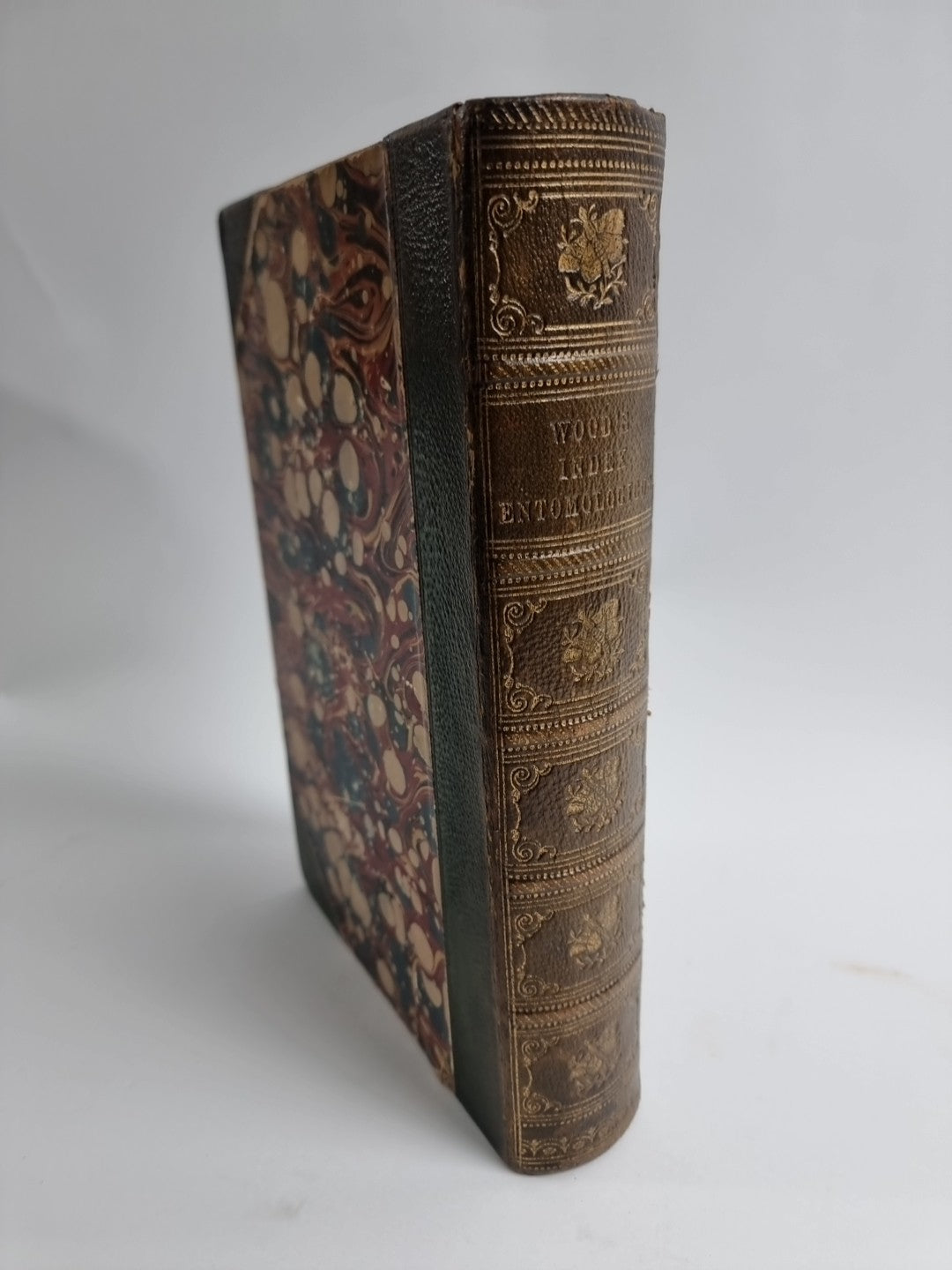 INDEX ENTOMOLOGICUS; or, A COMPLETE ILLUSTRATED CATALOGUE 1854