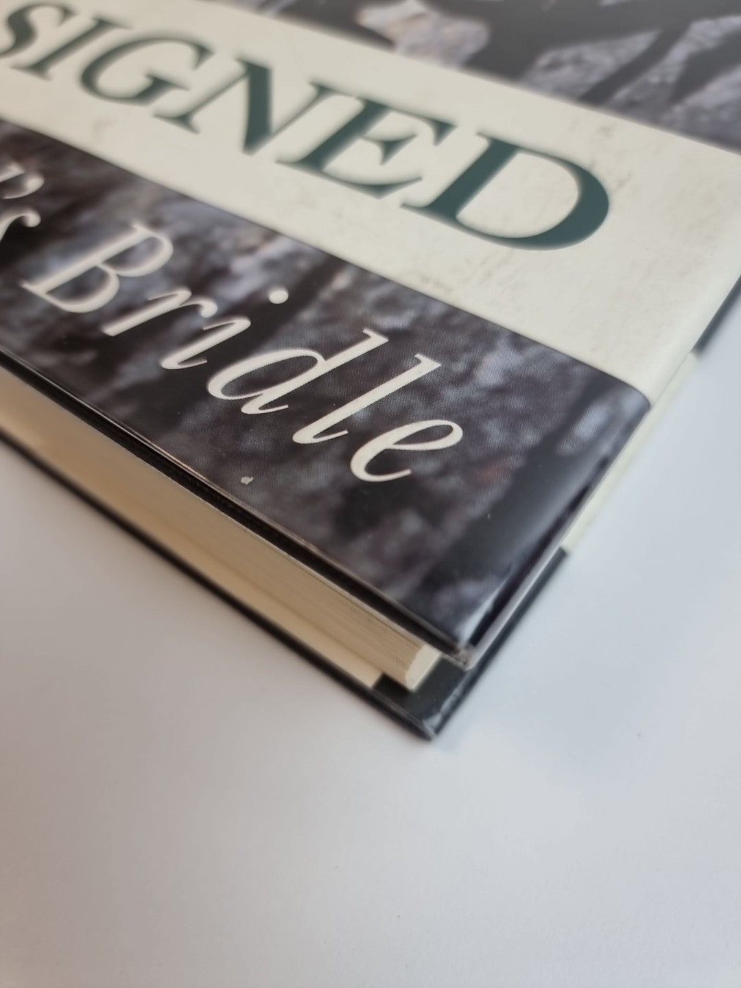 The Scold's Bridle by Minette Walters (1994)New 1st Edition Signed Free Delivery