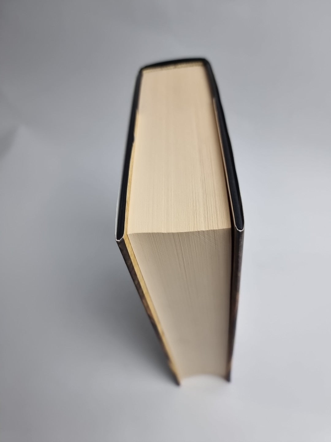 Cathedral of the Sea by Ildef Falcones (Hardcover, 2008) 1st Print & Edition New