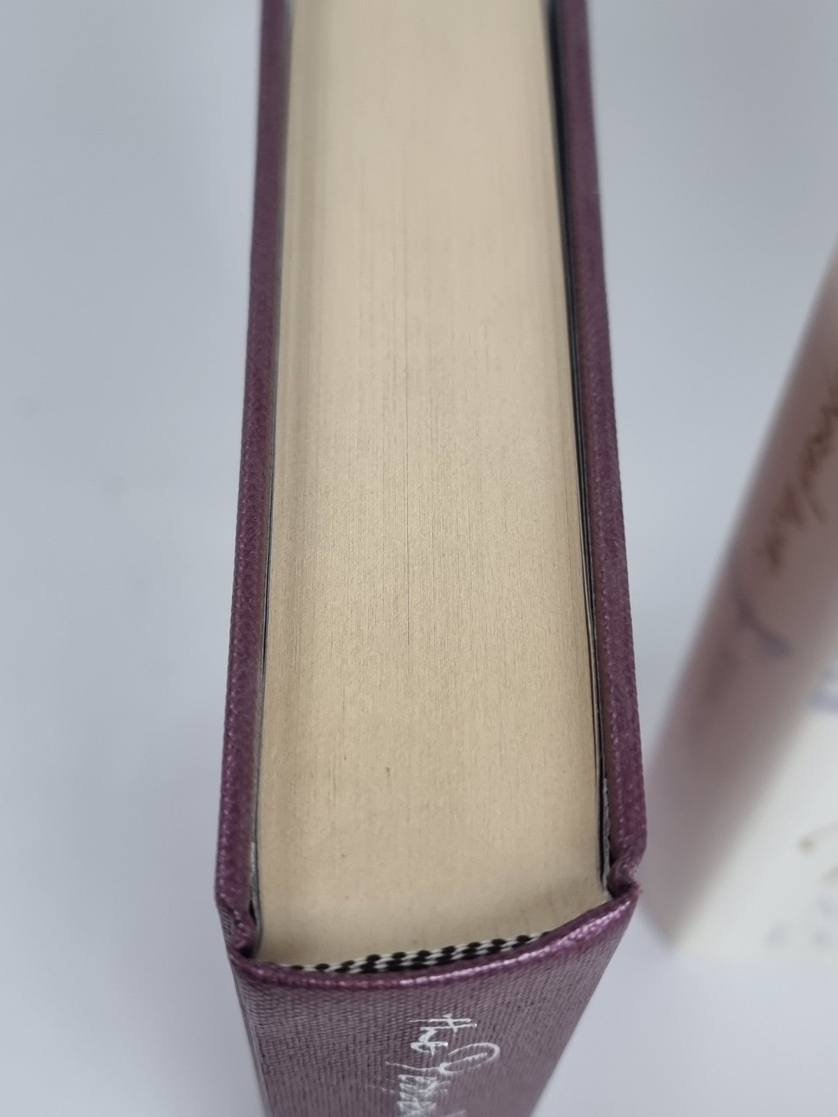 The Peppered Moth by Margaret Drabble First UK Edition (Hardback, 2001) New