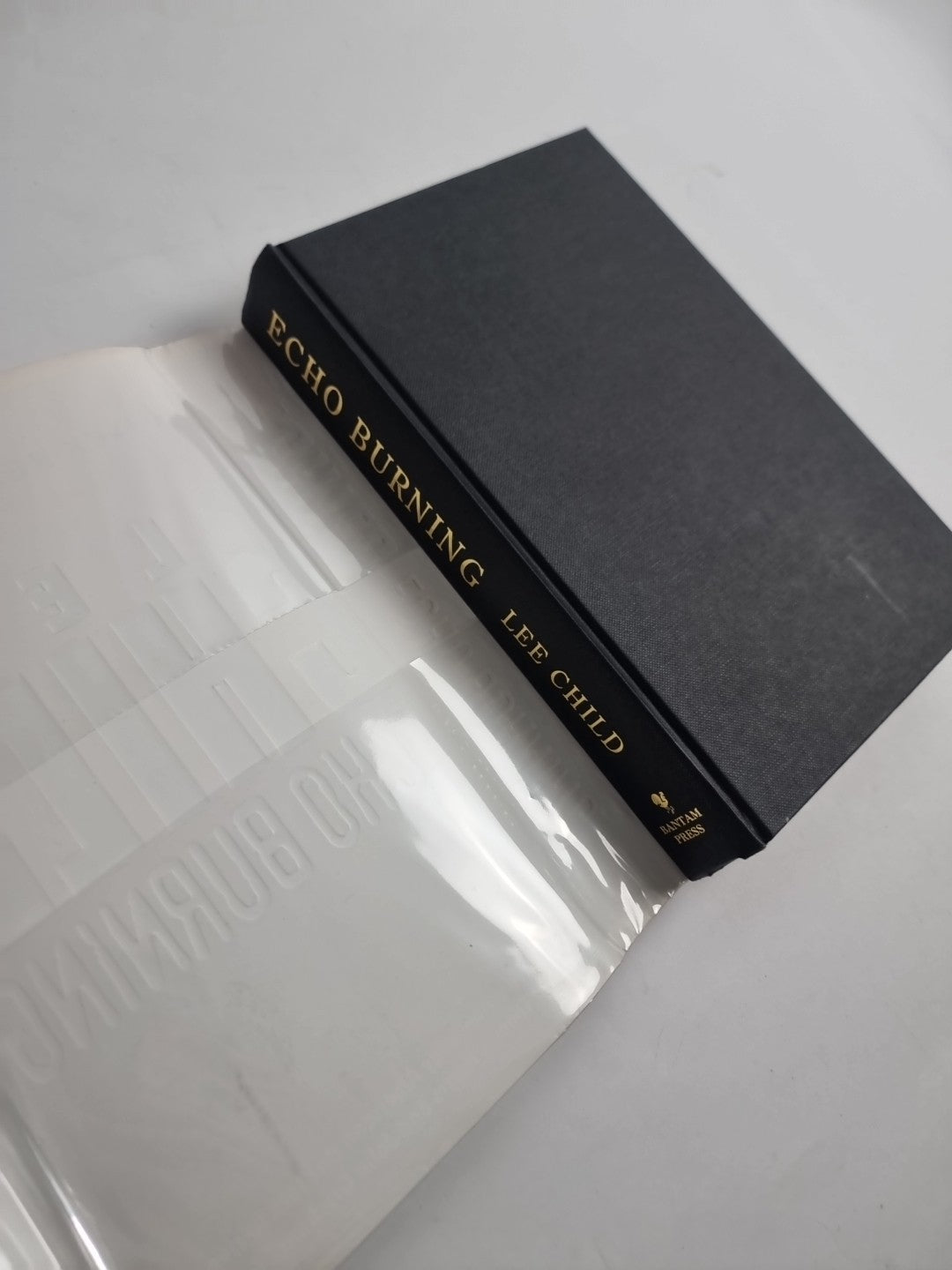 Echo Burning by Lee Child (Hardcover, 2001) 1st Edition New