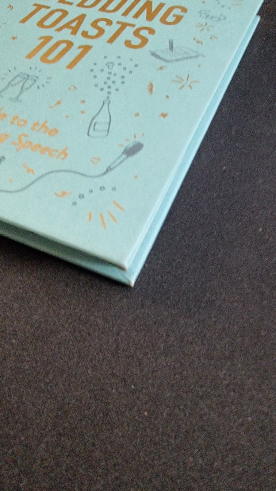 Wedding Toasts 101:The Guide to the Perfect Wedding Speech 