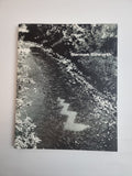 Norman Dilworth In the nature of things 1st Edition Signed New