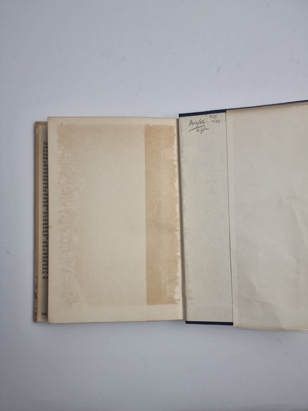 Swifts in a Tower - David Lack - 1956 1st Edition, Fine HB-DJ