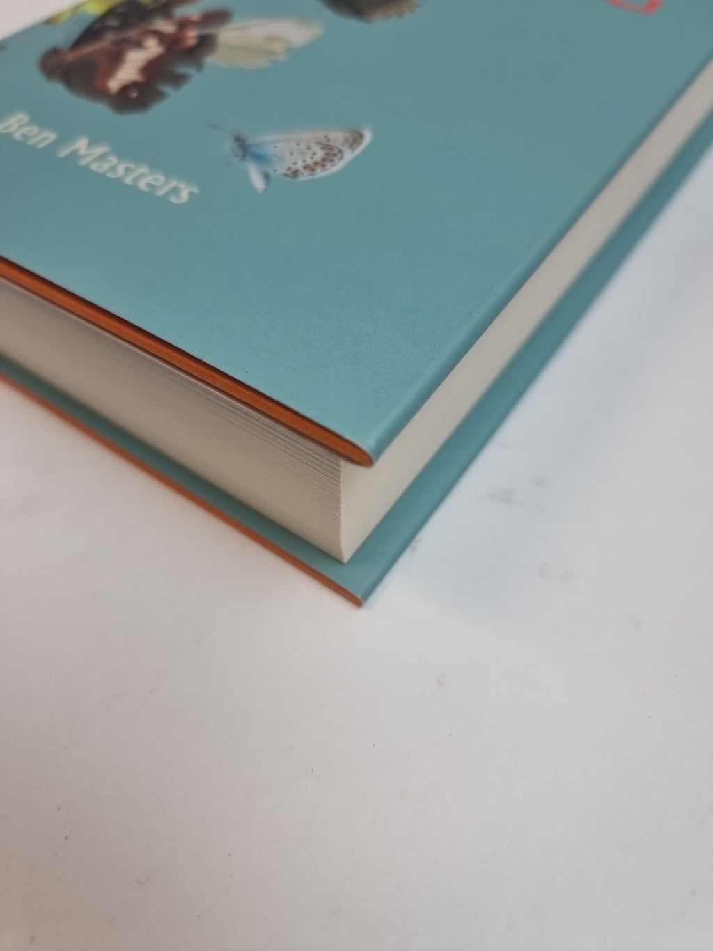 The Flitting by Ben Masters  NEW Free Delivery