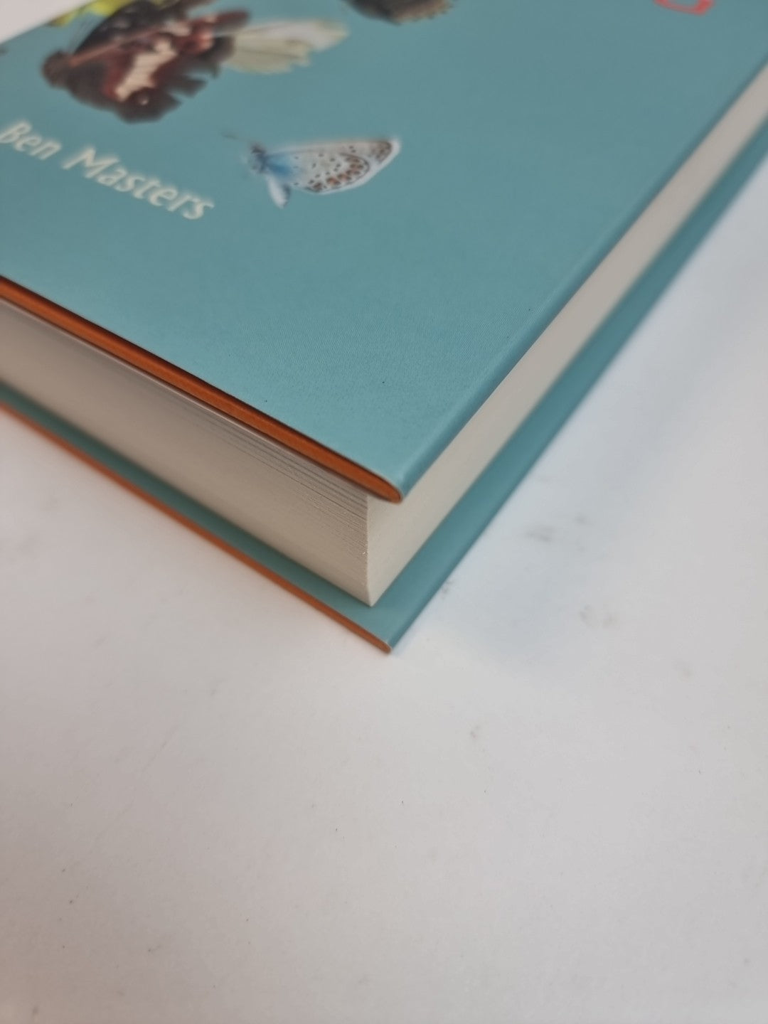 The Flitting by Ben Masters  NEW Free Delivery