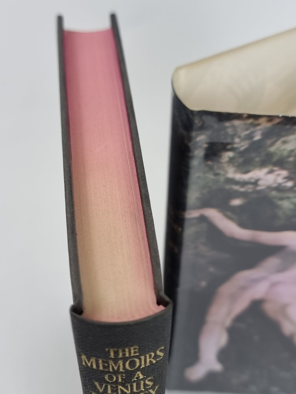 The Memoirs of a Venus Lackey, Derek Marlowe - First Edition