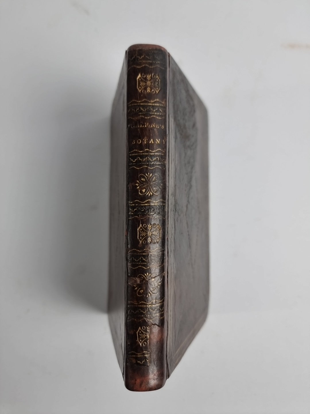 Synoptical Compend of British Botany, GALPINE, John Rare 1806 1st Edition 