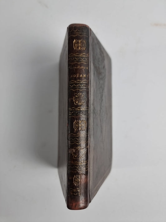 Synoptical Compend of British Botany, GALPINE, John Rare 1806 1st Edition 