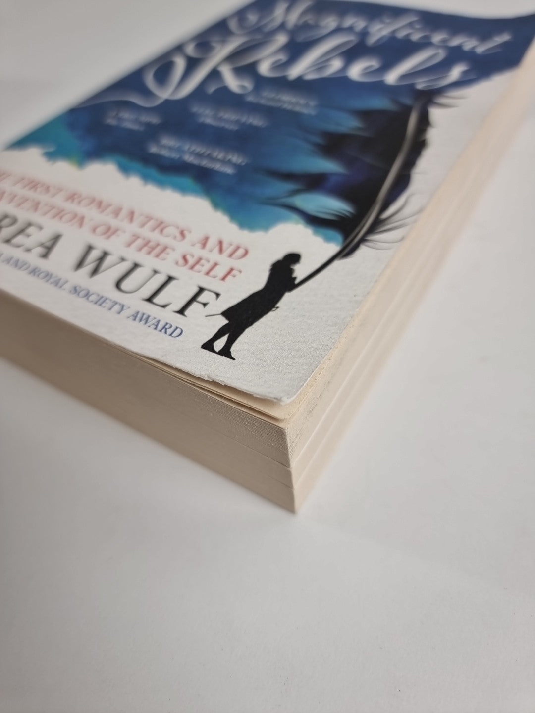 Magnificent Rebels: The First Romantics and the Invention of the Self by Andrea