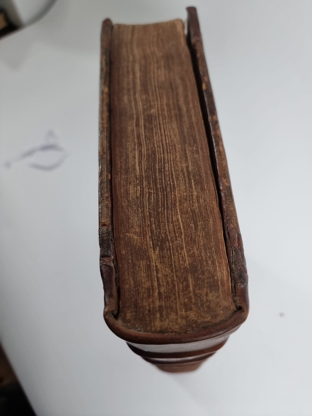 1648 Opere Del Cardinal Bentivoglio History of Flanders & Dutch Revolt Italian