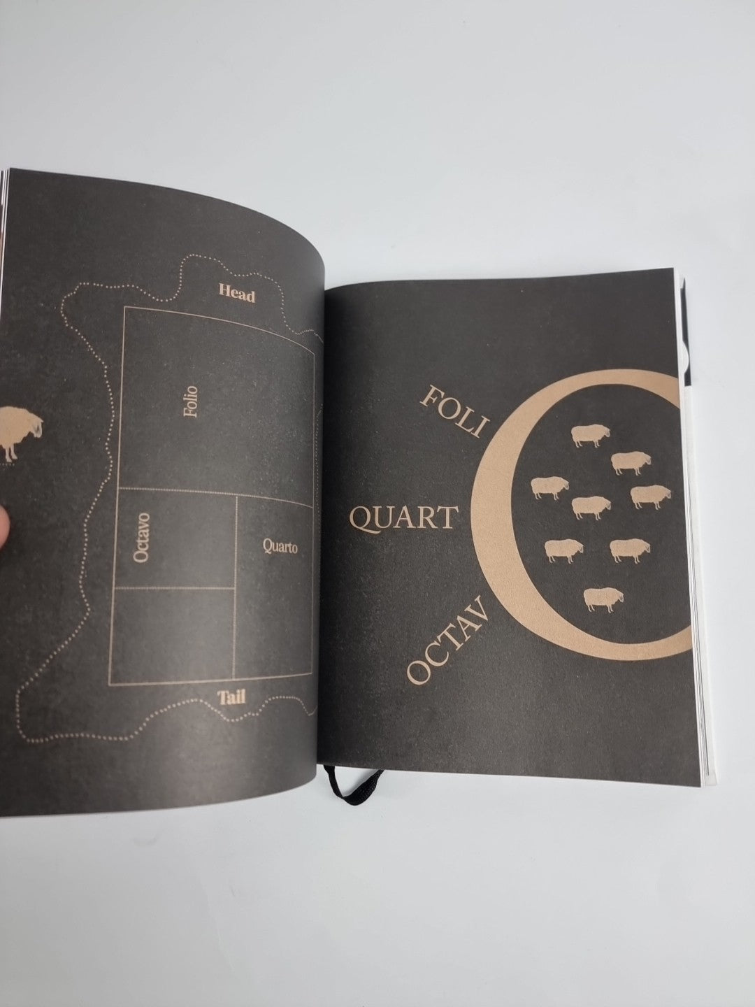 The Illustrated Etymologicon SIGNED 1st First Edition Mark Forsyth HB NEW