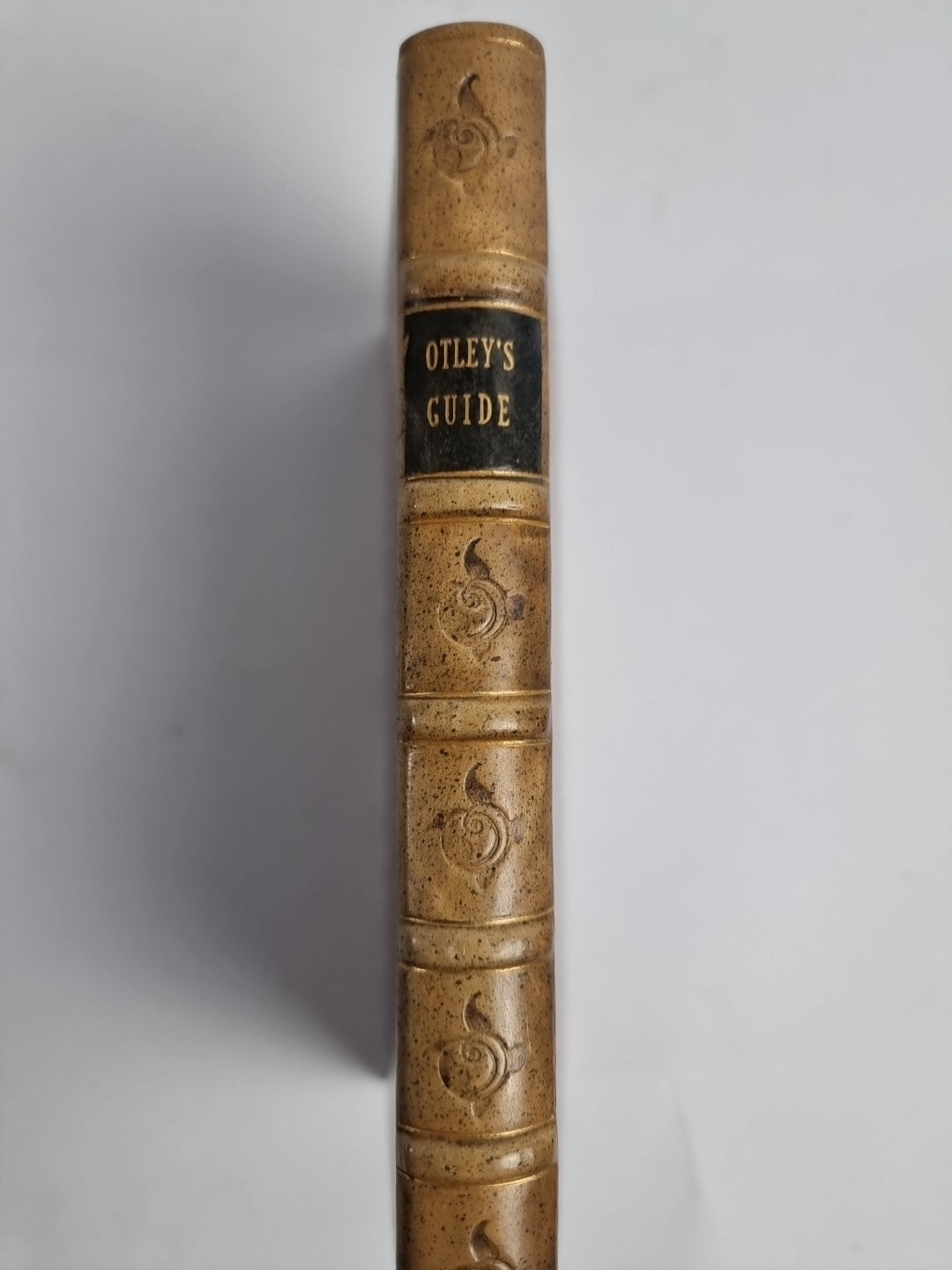 A Concise Description of the English Lakes and Adjacent Mountains, 4th ED 1830