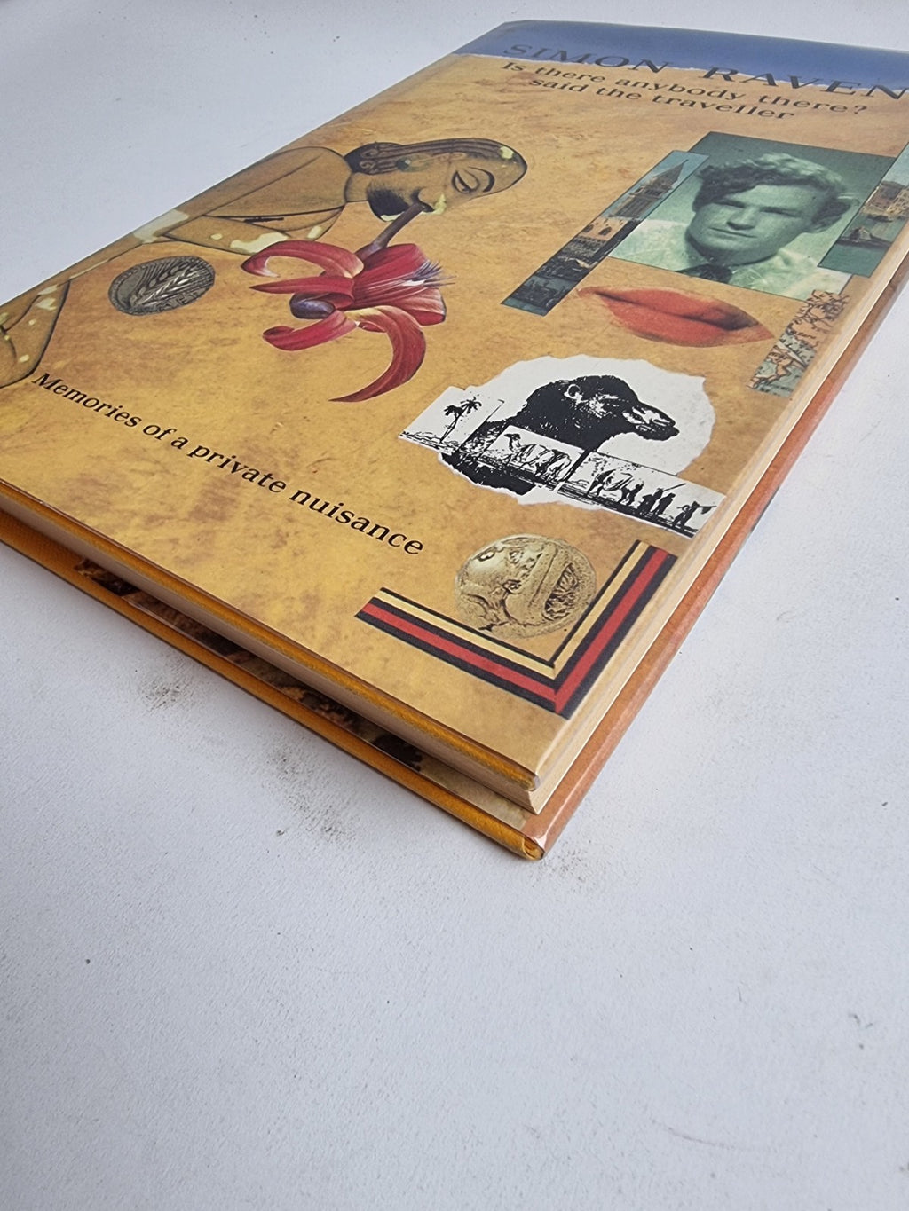Is There Anybody There? Said The Traveller, Simin Raven — First Edition