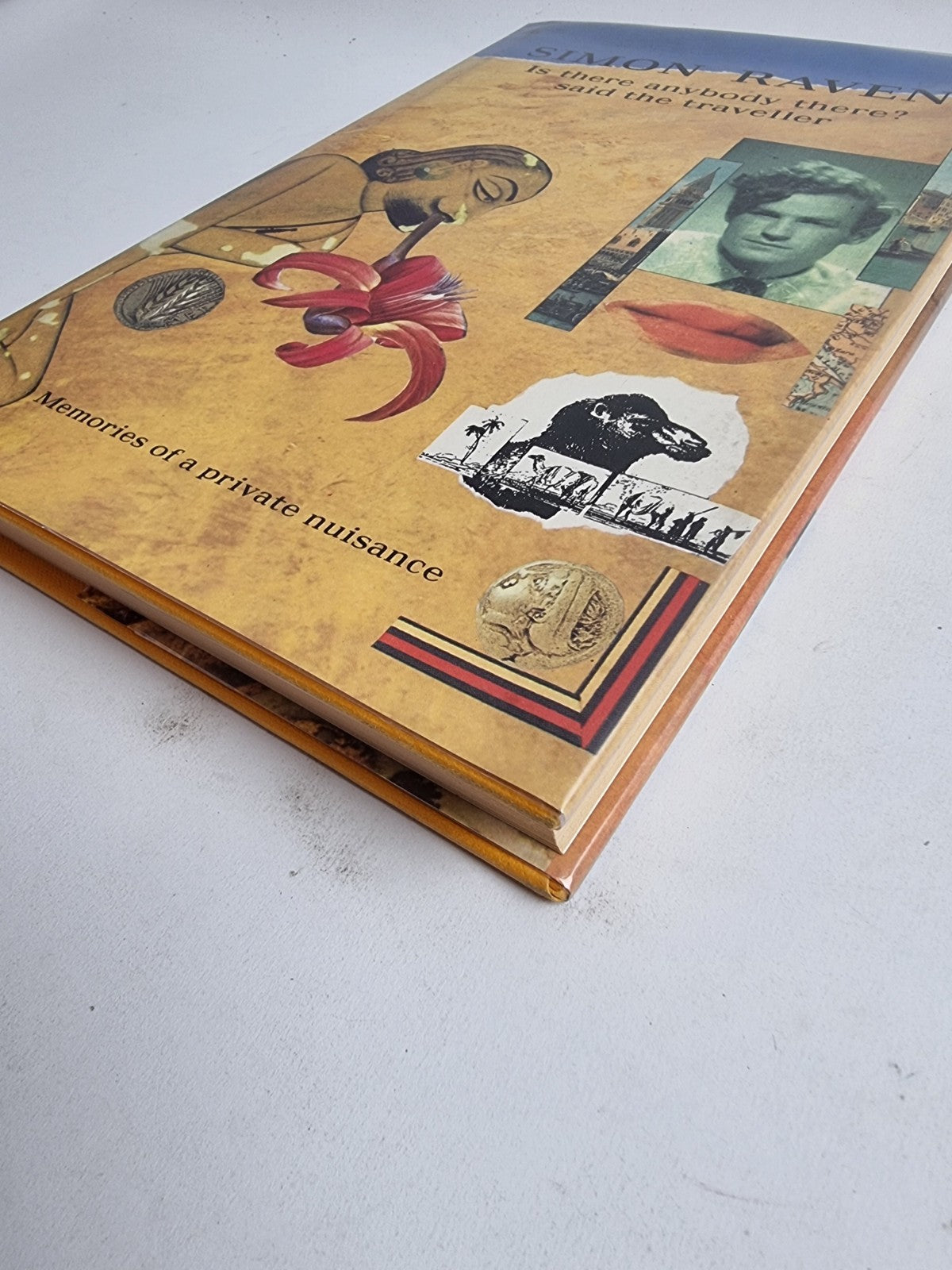 Is There Anybody There? Said The Traveller, Simin Raven — First Edition