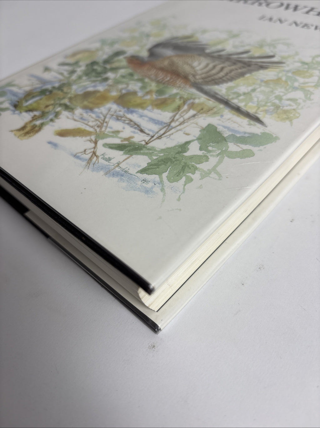 The Sparrowhawk by Ian Newton Hardback DJ 1st Edition 1986