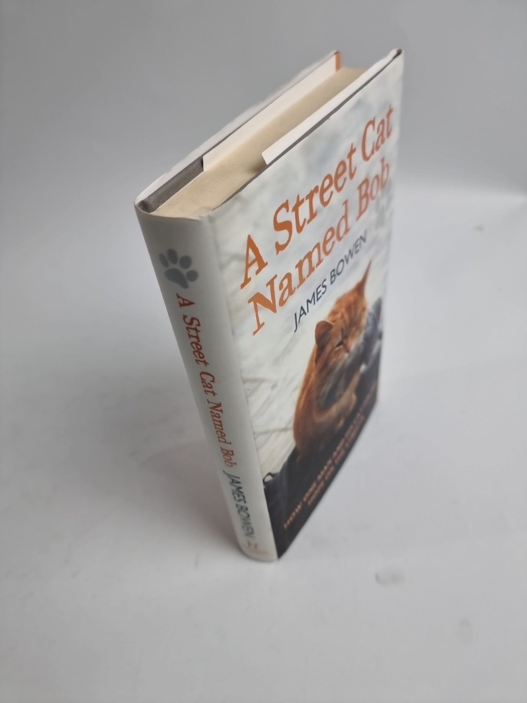 A Street Cat Named Bob: How One Man and His Cat Found Hope on the Streets by Jam