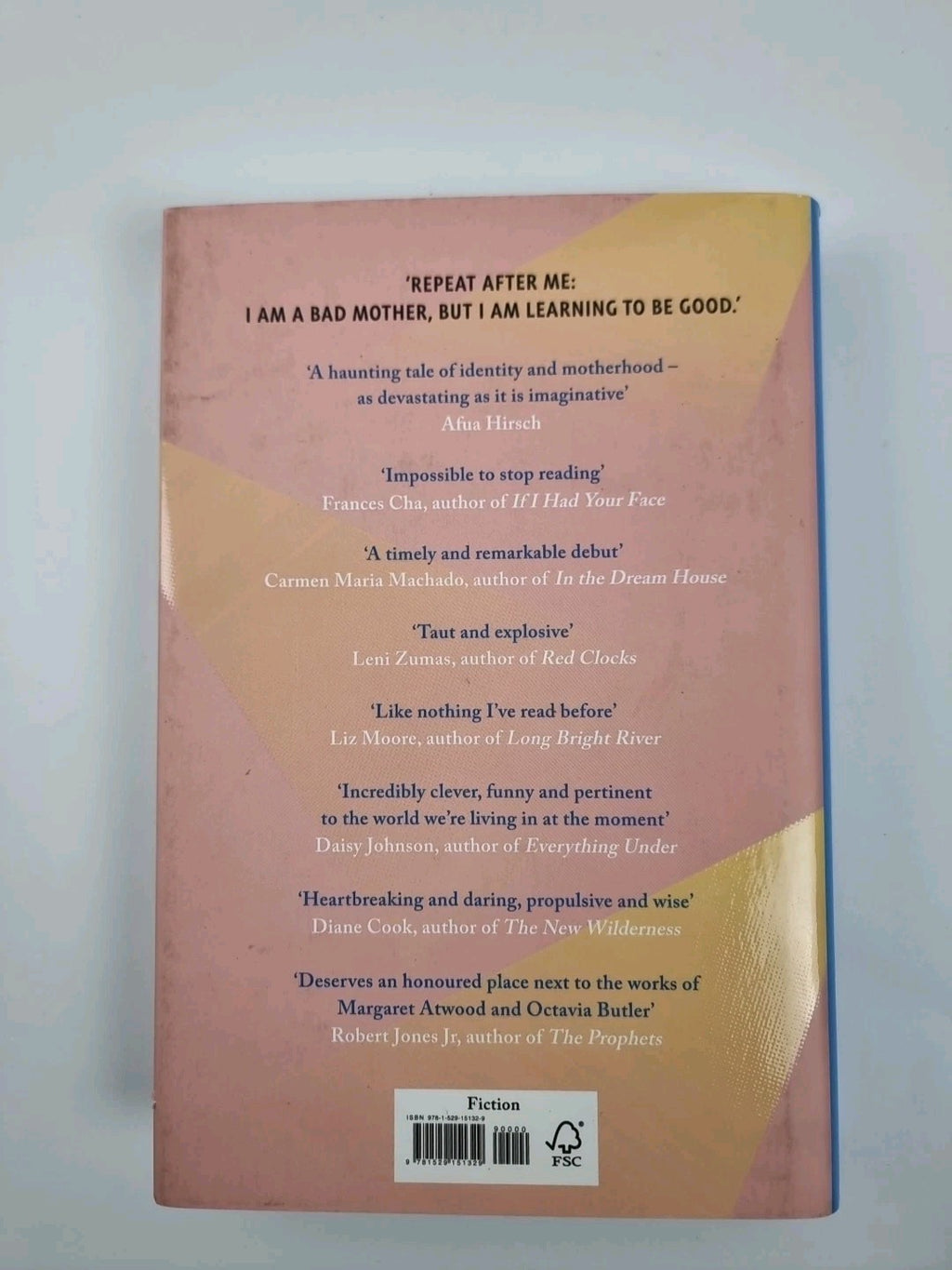 The school for good mothers (HardBack) - 1st edition