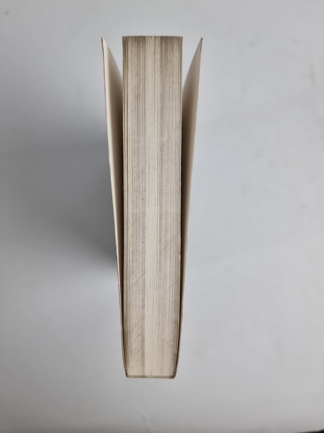 A Century of New Words by John Ayto (Paperback, 2007) New Free Delivery