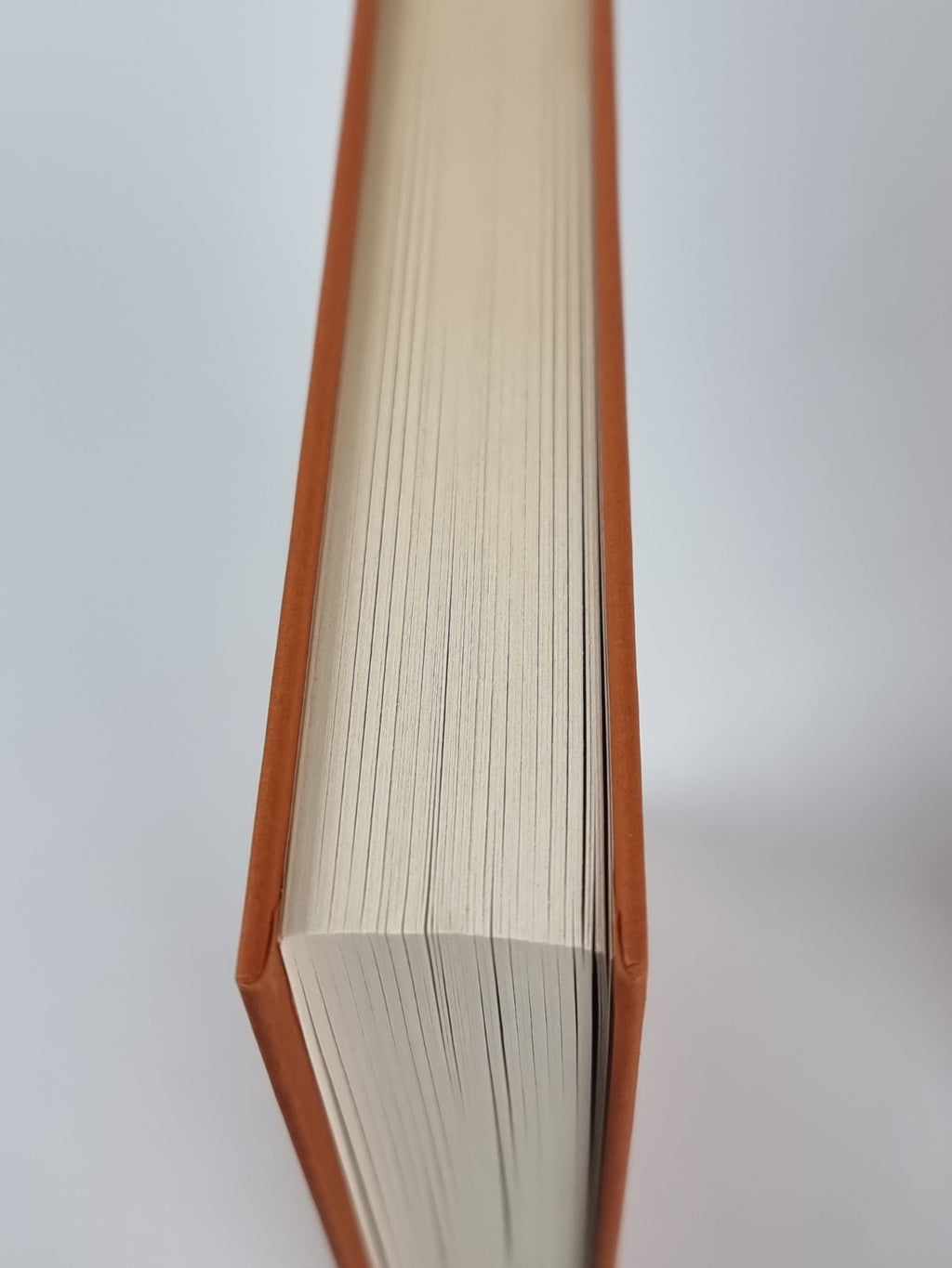 Riccardino, Andrea Camilleri - First Edition, As New