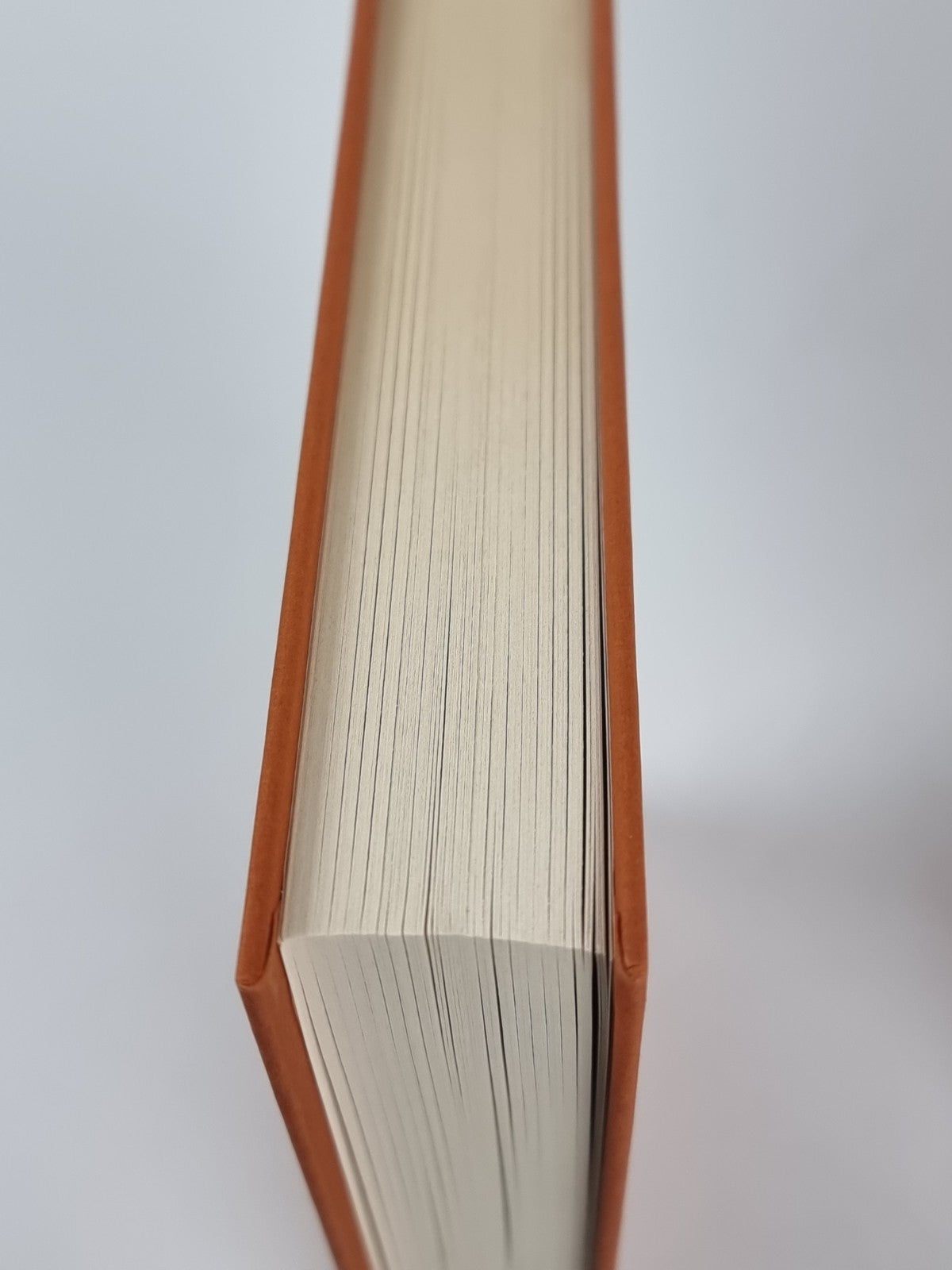 Riccardino, Andrea Camilleri - First Edition, As New