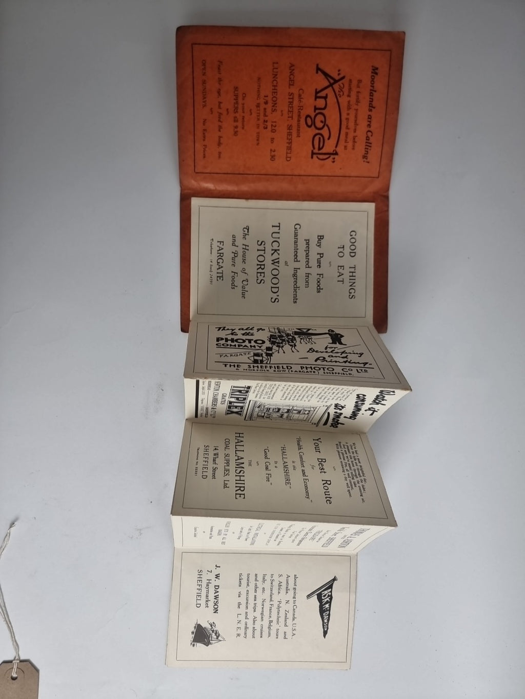 Joint Committee Shefield Omnibus Services Map of Derbyshire Bus Routes — Guide