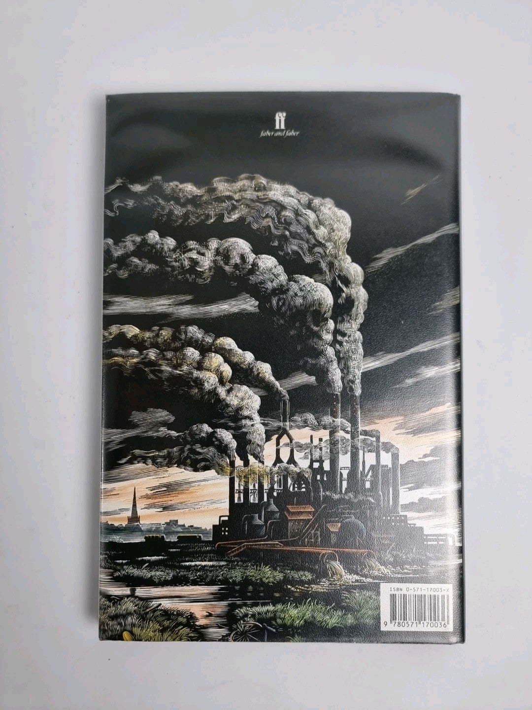 The Iron Woman Ted Hughes 1993 Hardback First edition & printing New And Unread 