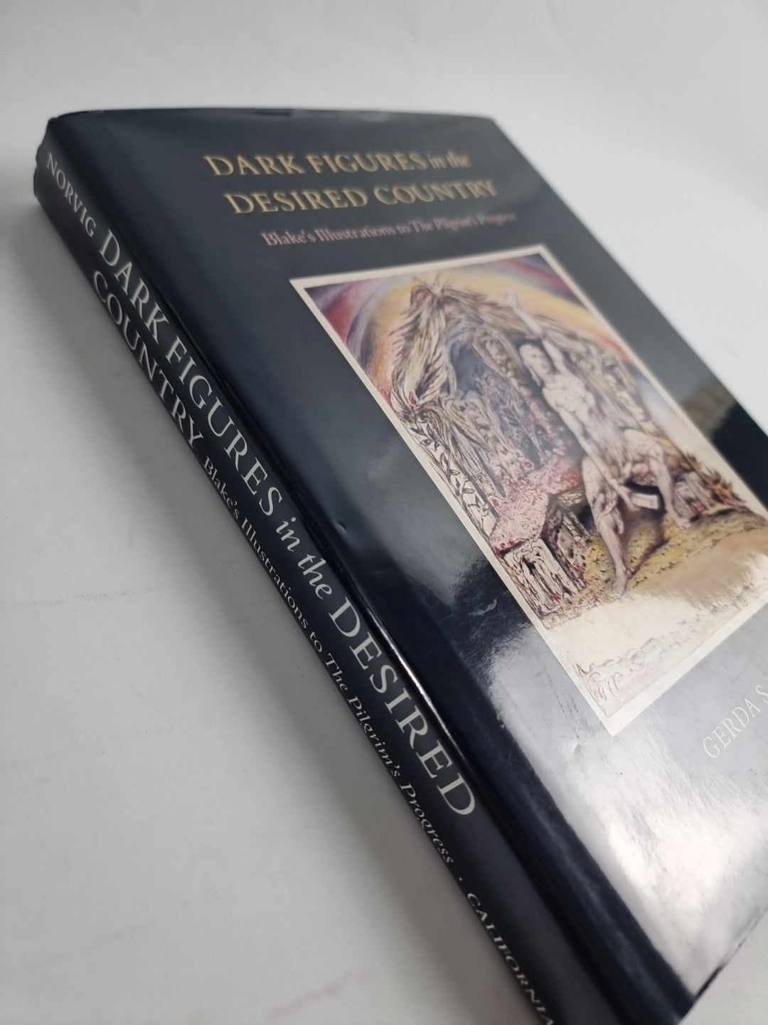 Dark Figures in the Desired Country: Blake's Illustrations to The Pilgrim's. New