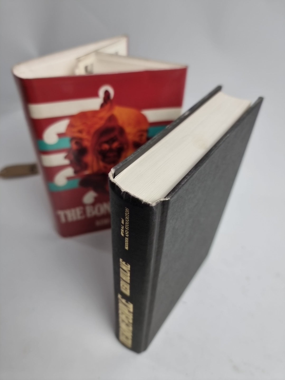 The Bone People by Keri Hulme Rare Singapore Print, The True 1st Edition Fine