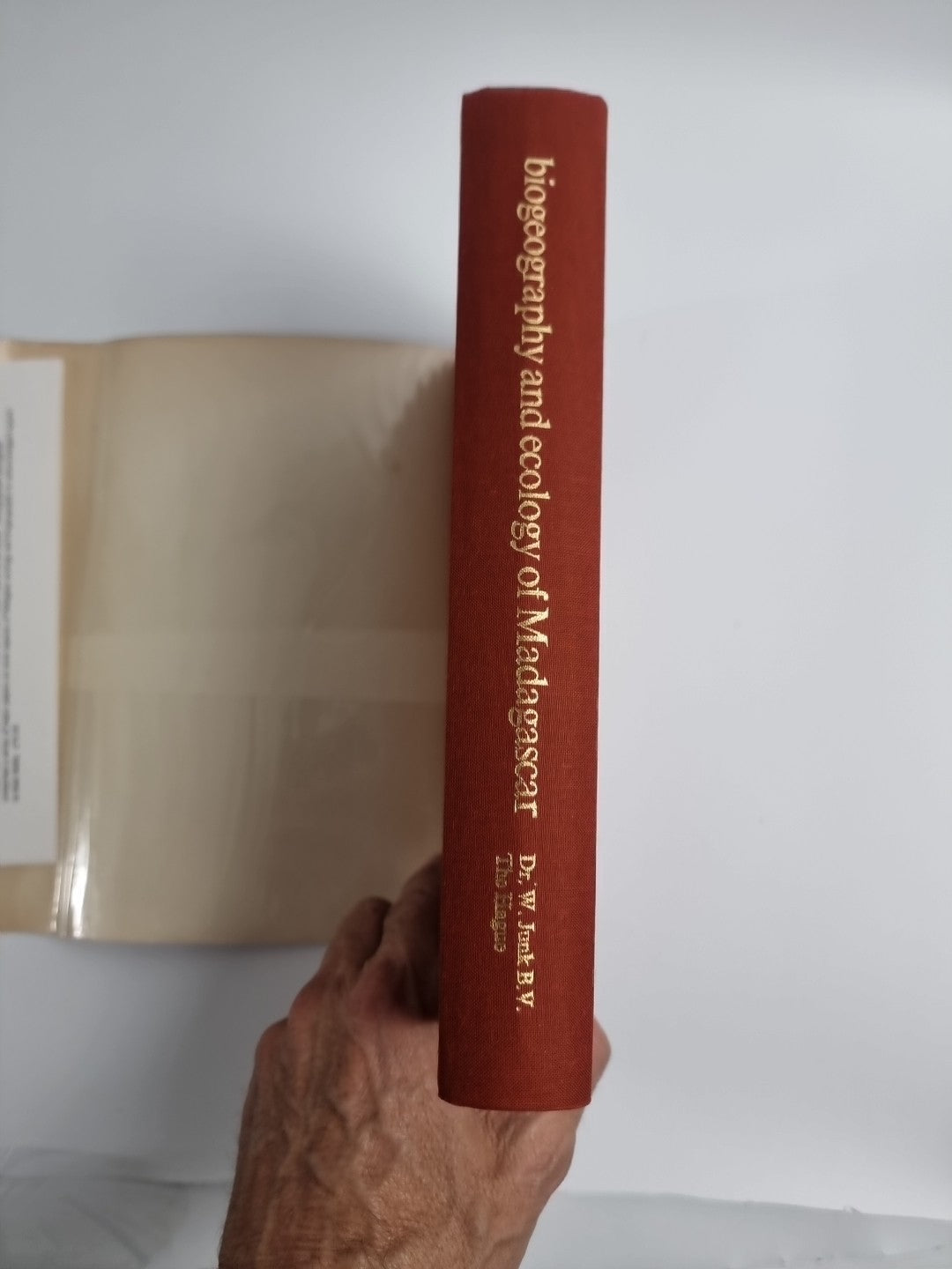 Biogeography and Ecology in Madagascar (Taschenbuch)G. Richard-Vindard