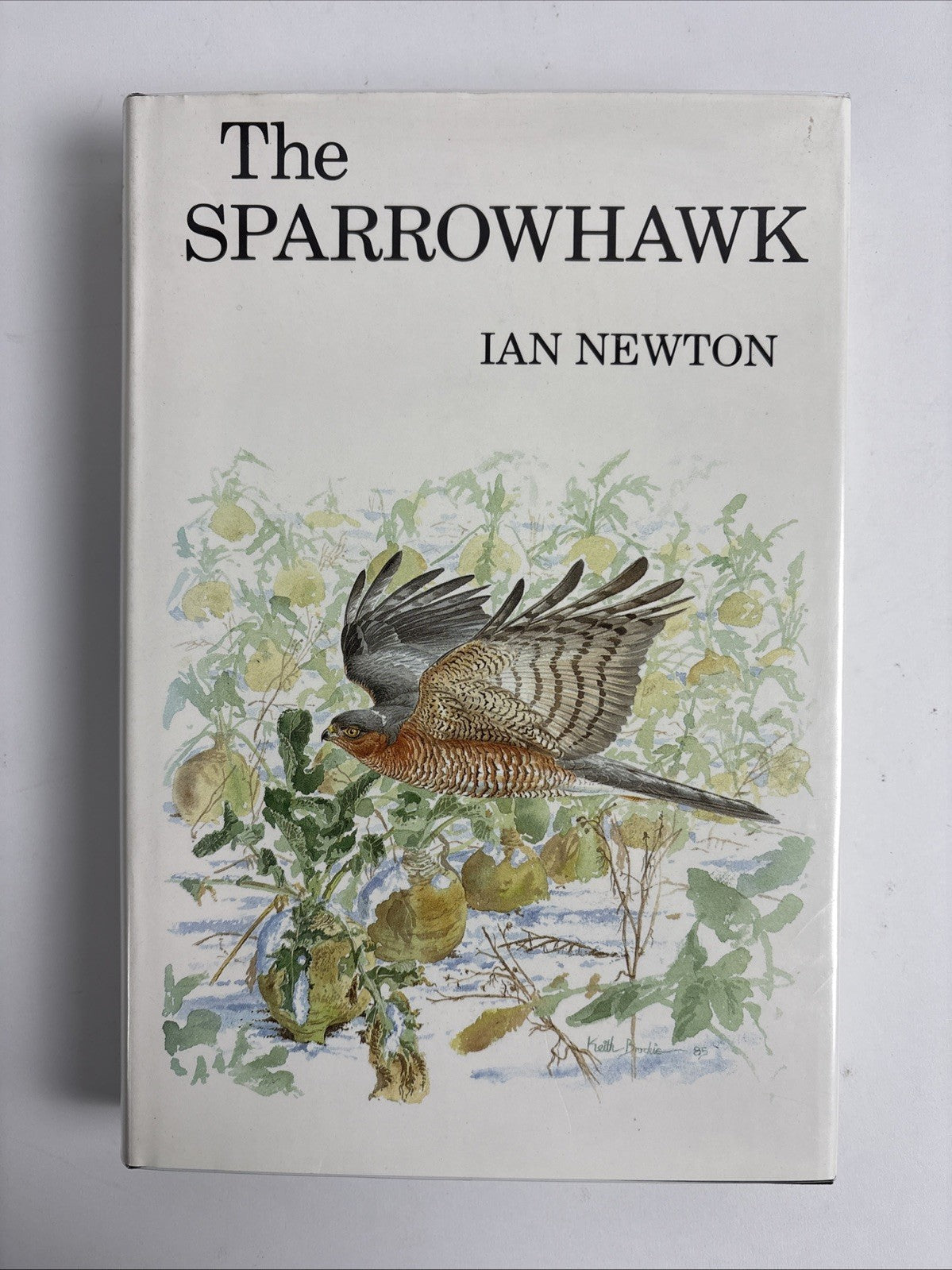 The Sparrowhawk by Ian Newton Hardback DJ 1st Edition 1986