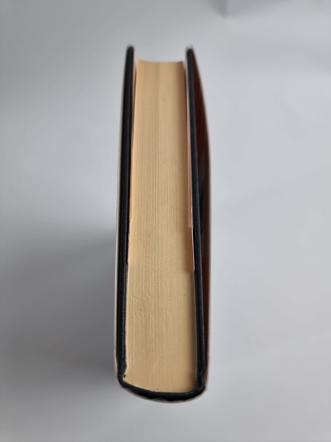 The Blue Afternoon by William Boyd (Hardcover, 1993)