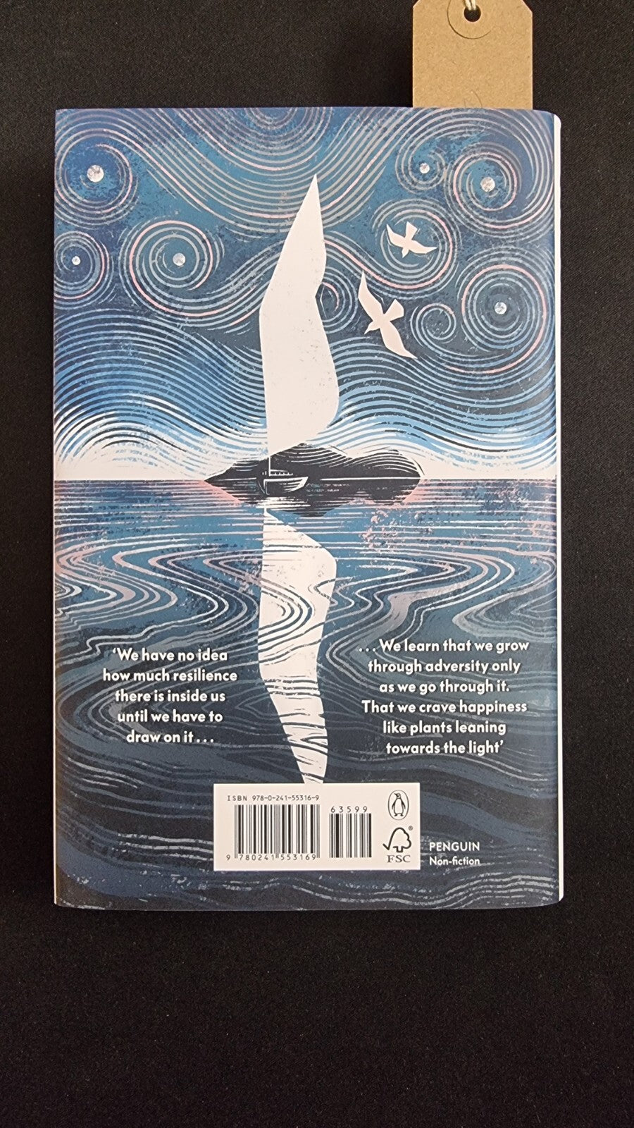 The Half Bird by Susan Smillie 