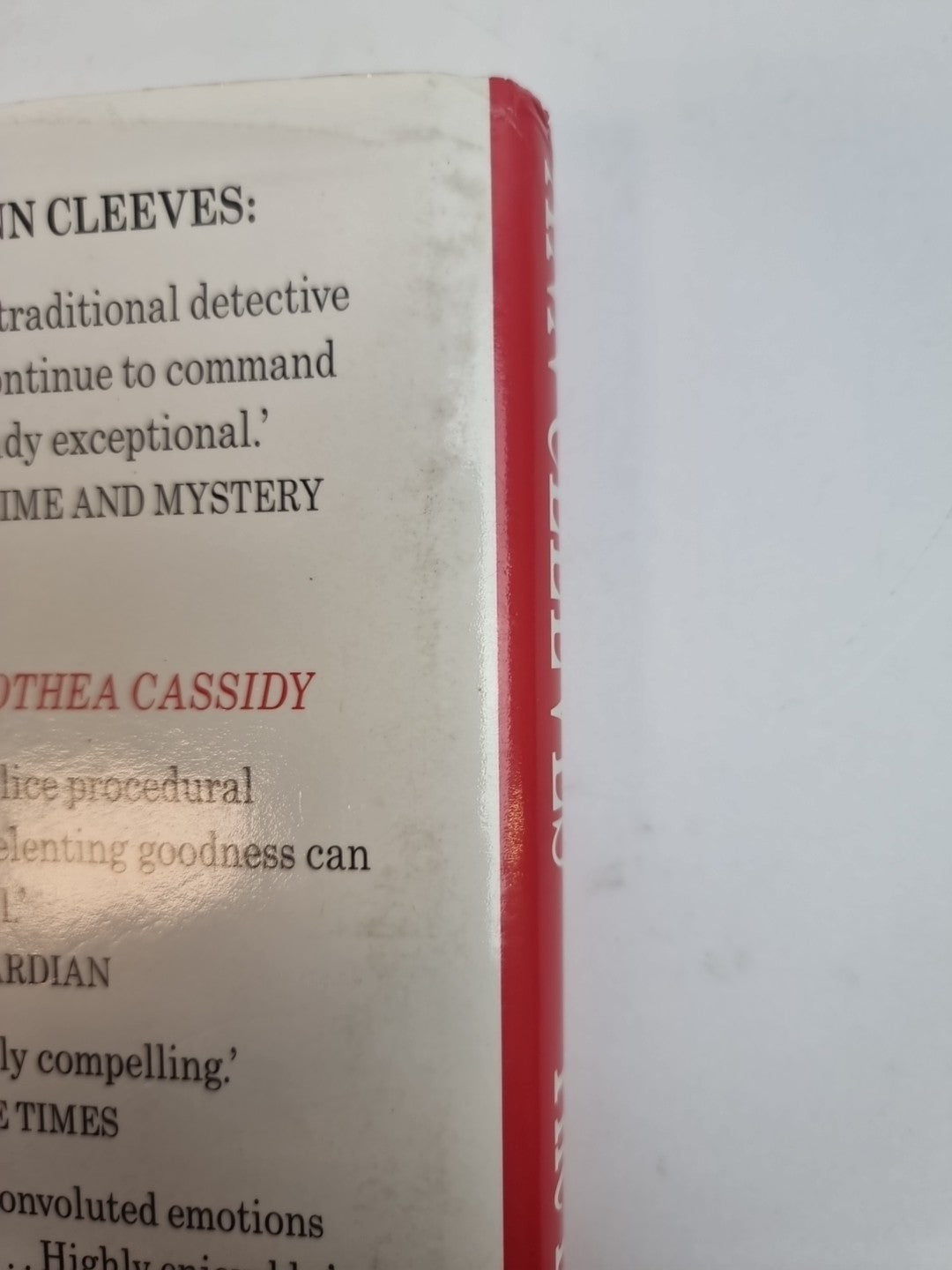 The Healers by Ann Cleeves (Hardcover, 1995) New 1st Edition