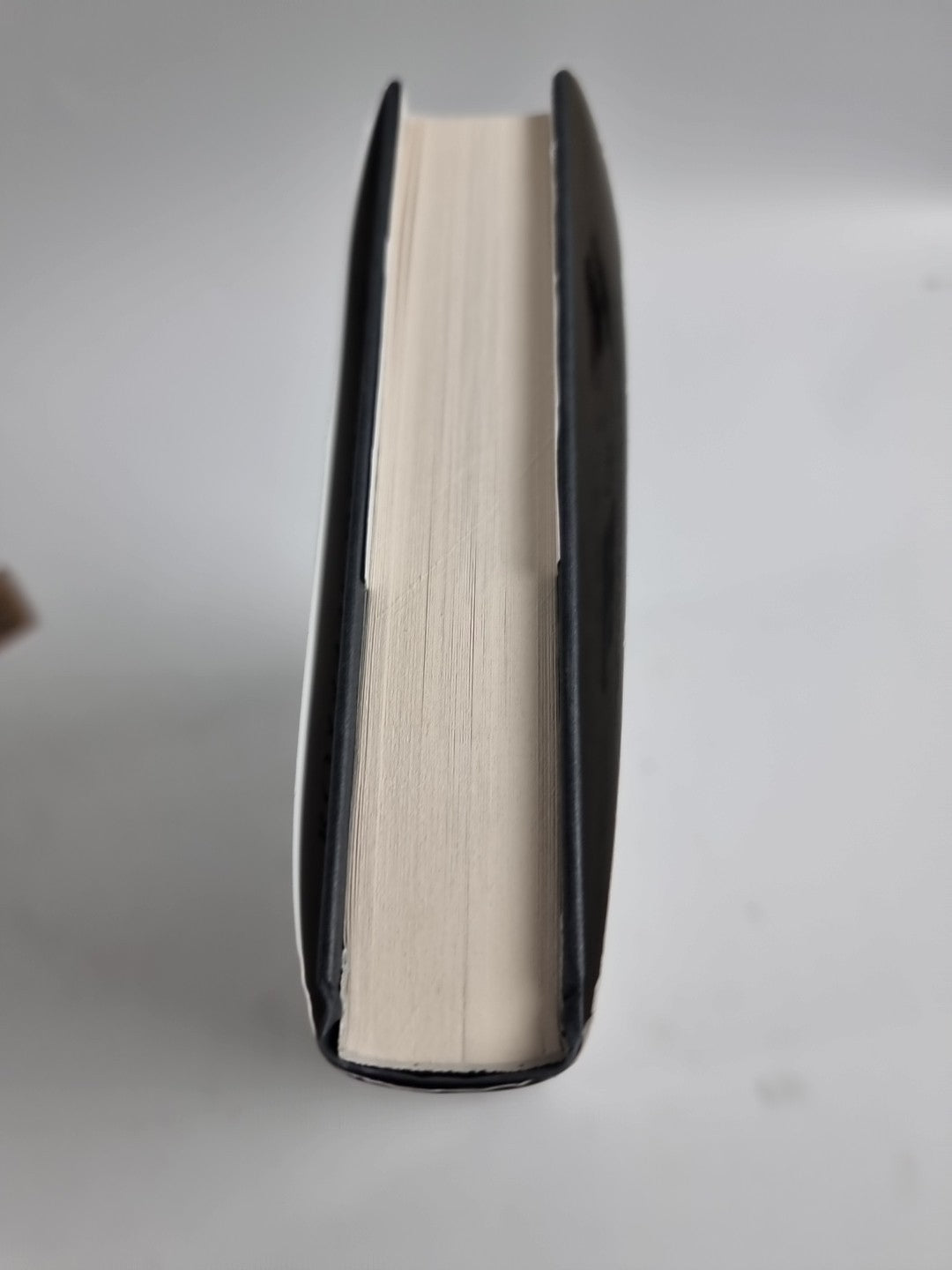 The Piano Player of Budapest: A True Story -Bastion, Roxanne de 1ST Edition NEW