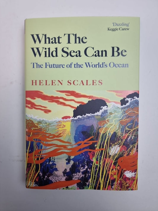 What the Wild Sea Can Be: The Future  Helen Scales New Free Delivery