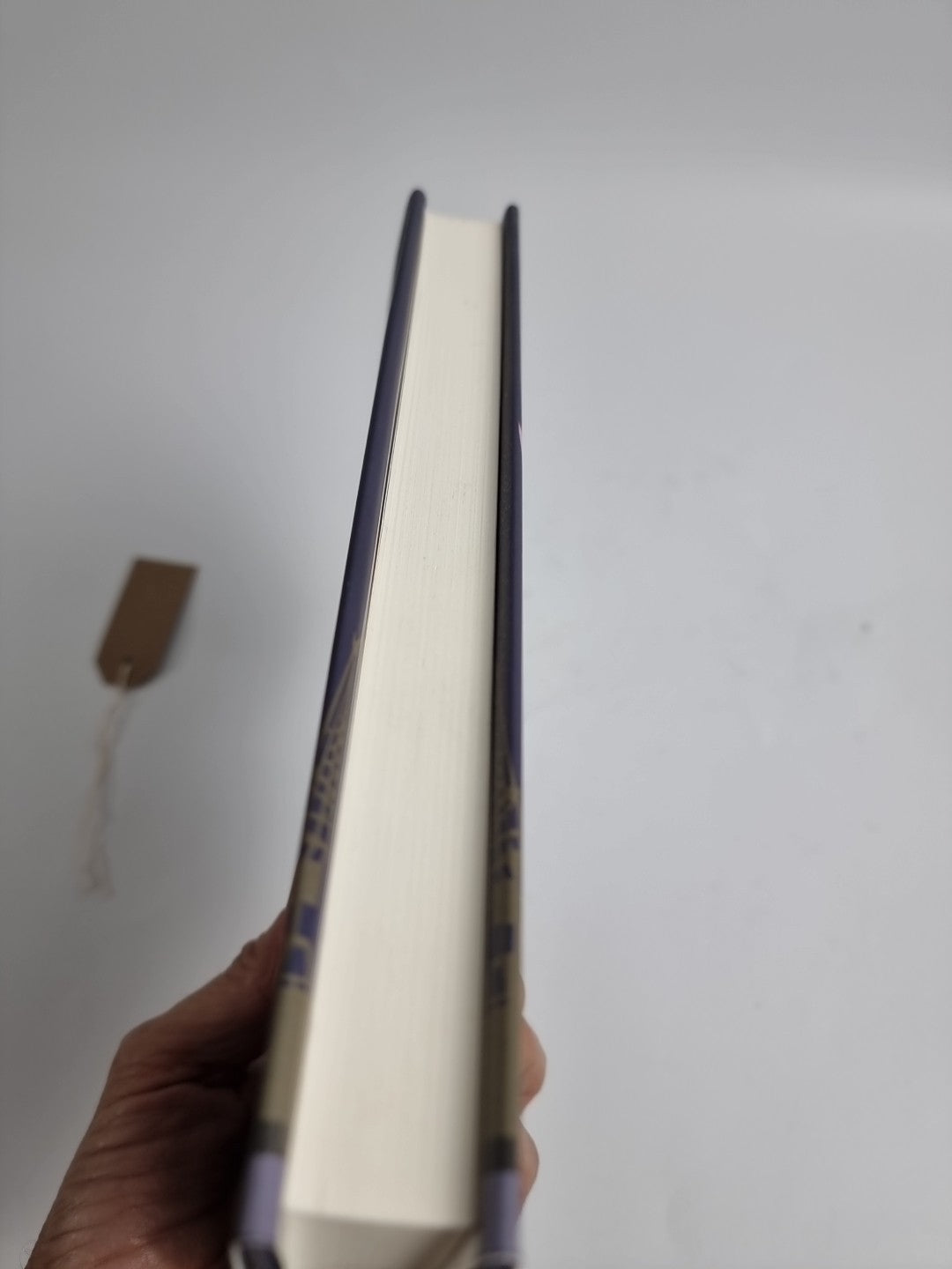 Dollar by Alexander Lindsay (Hardcover, 2012) NEW SIGNED