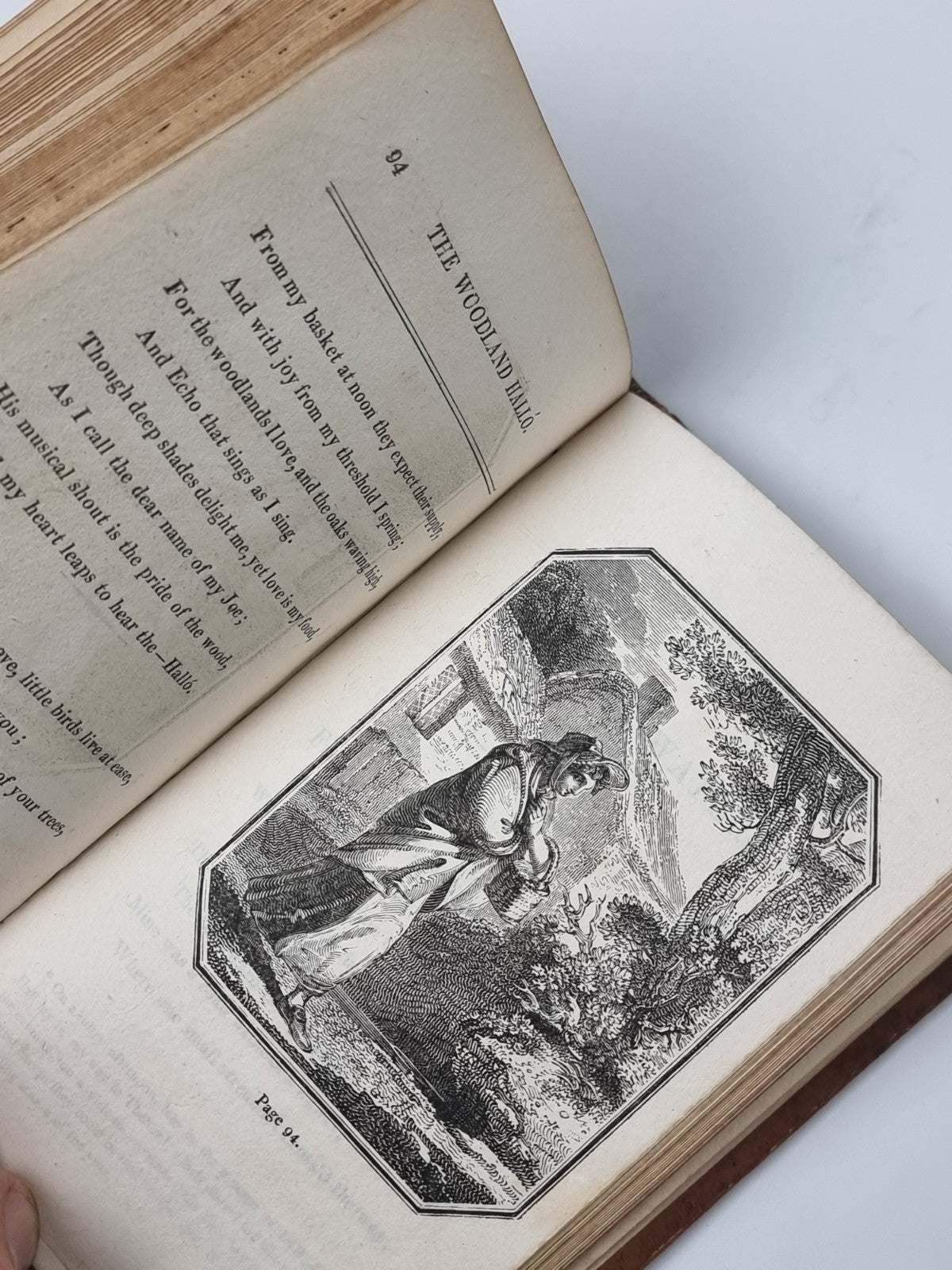 1806, WILD FLOWERS or Pastoral and Local Poetry by Robert Bloomfield (First Ed.)