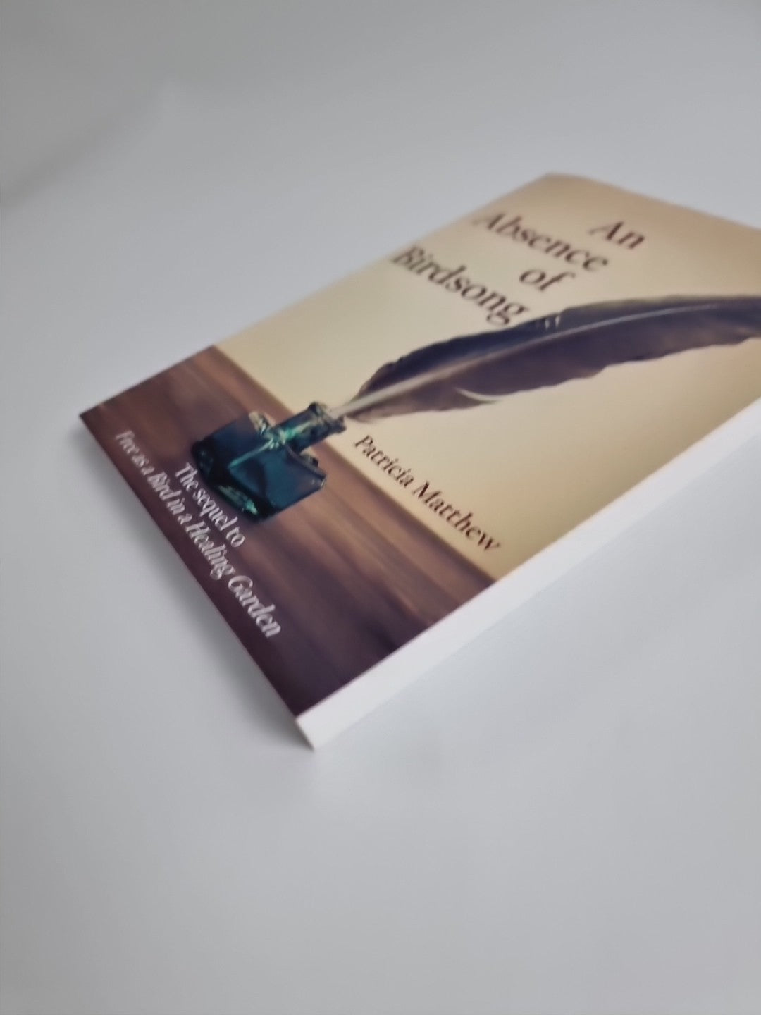 After The Deceptions Are Realised: A Spiritual Odyssey 2022 NEW