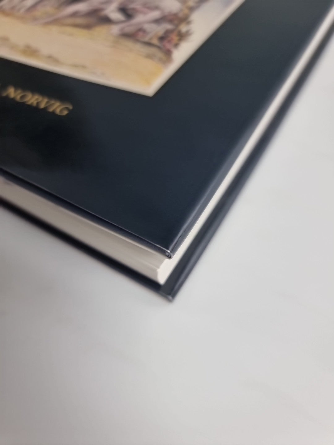 Dark Figures in the Desired Country: Blake's Illustrations to The Pilgrim's. New