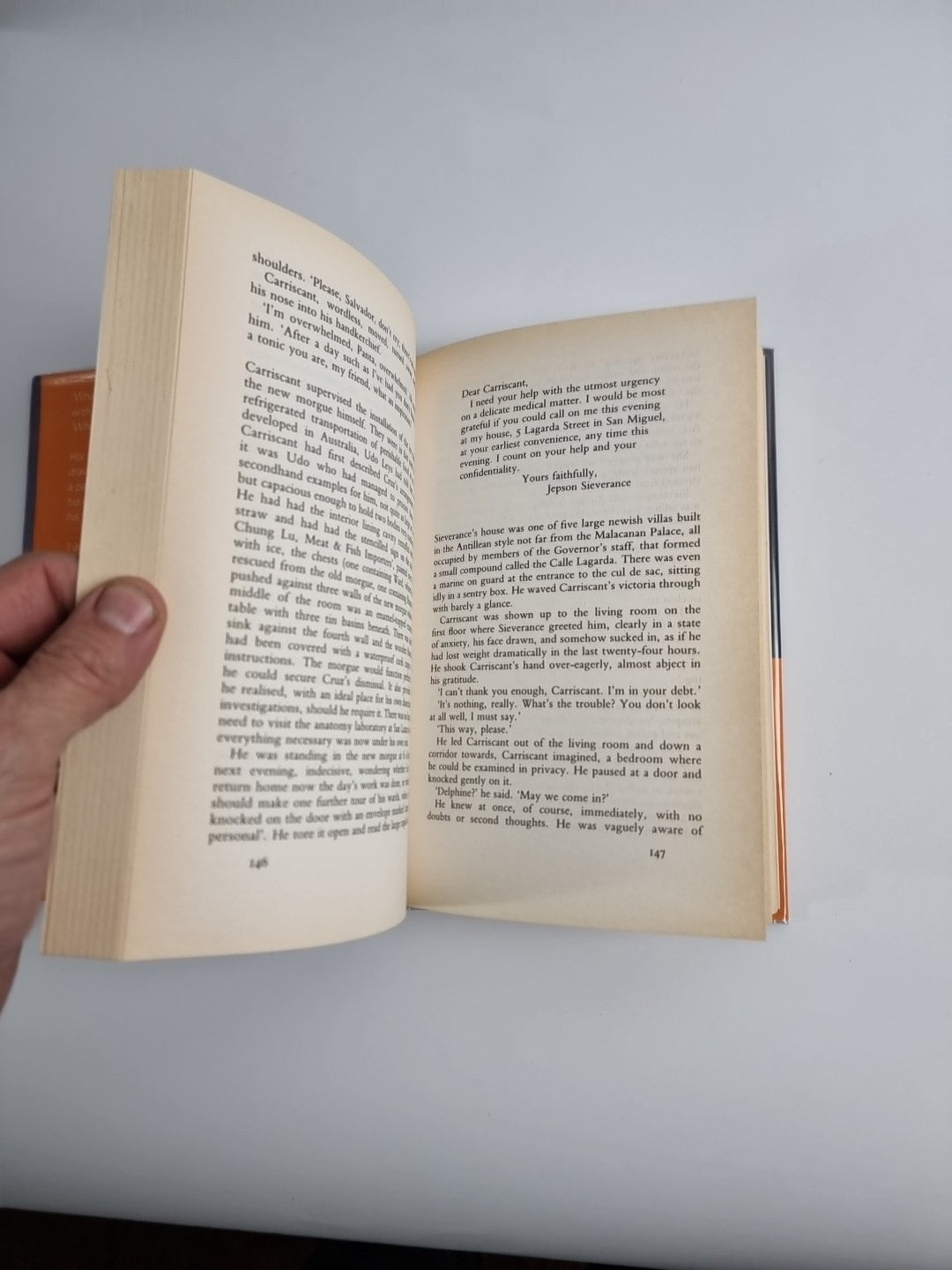 The Blue Afternoon by William Boyd (Hardcover, 1993)