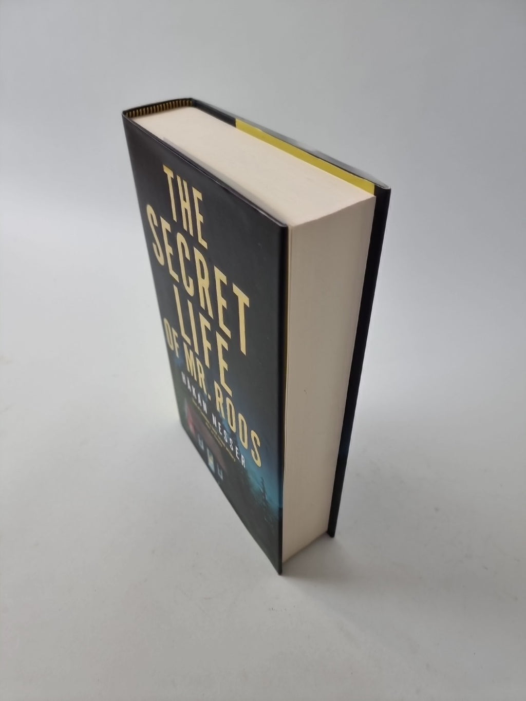 The Secret Life of Mr Roos (The Barbarotti Series) by Nesser, Håkan 1st Edition