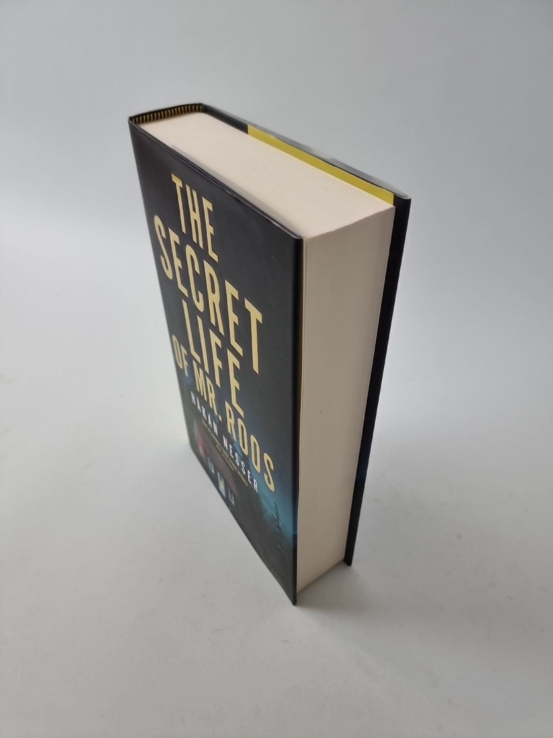 The Secret Life of Mr Roos (The Barbarotti Series) by Nesser, Håkan 1st Edition
