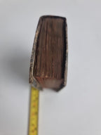 Caesar, Julius; C. lulii Caesarisquae extant exemendatione Ios.Scaligeri 1675