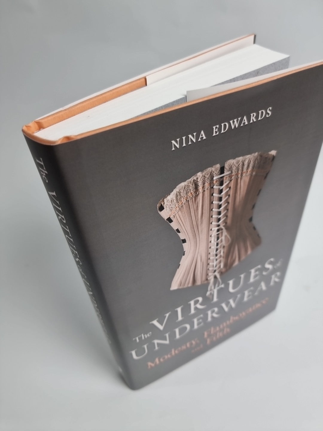 The Virtues of Underwear: Modesty, Flamboyance and Filth by Nina Edwards NEW