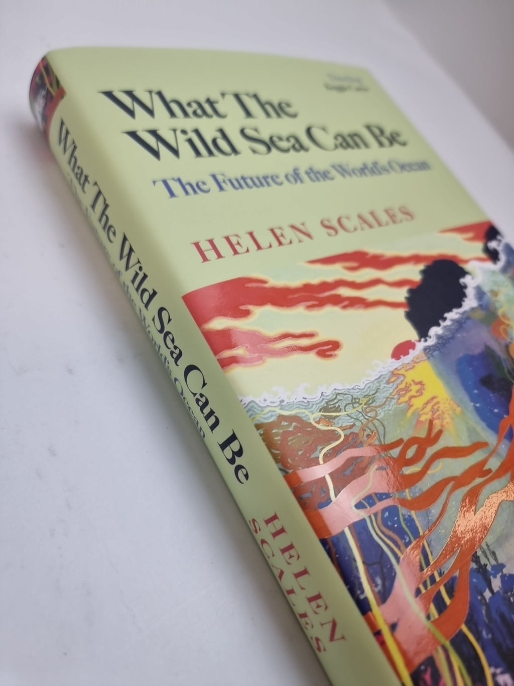 What the Wild Sea Can Be: The Future  Helen Scales New Free Delivery